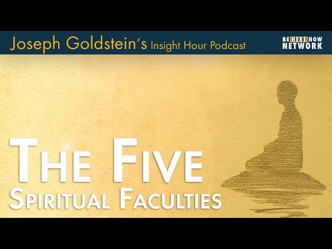 Joseph Goldstein on the Five Spiritual Faculties - Insight Hour Ep. 168