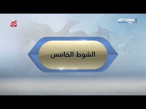  ملخص السباق , مهرجان ولي عهد دبي 2026/01/12 ايذاع المرموم  