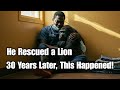 Gorilla Dies In Her Rescuer S Arms But What She Did Moments Before Will Haunt You