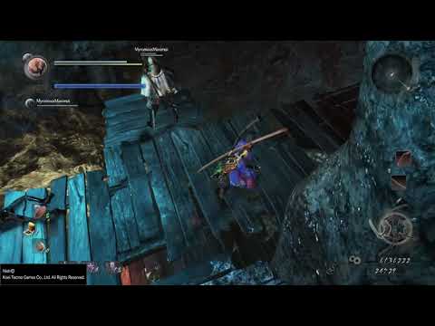 Nioh: Complete Edition, the infamous hole...