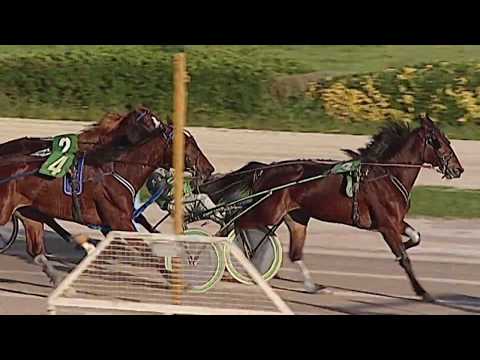 Aversa trotto 11 Dicembre 2019 - 1° Corsa