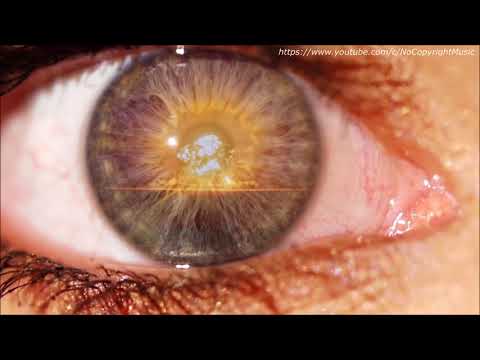 (House) Denny Hardman - War (Original Mix)