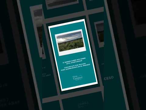 Papagayos "Apto Urbanización"