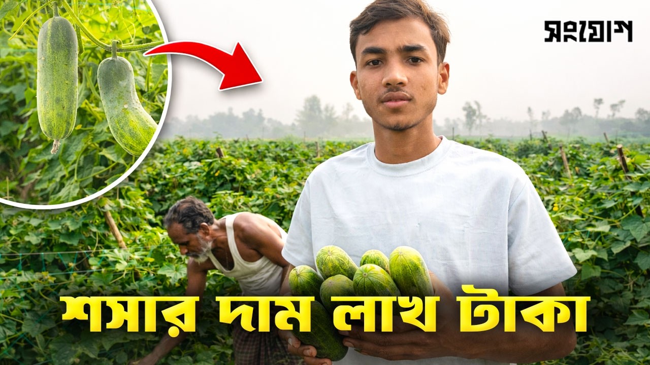 মালচিং পদ্ধতিতে গাইবান্ধার যুবকের সাফল্য