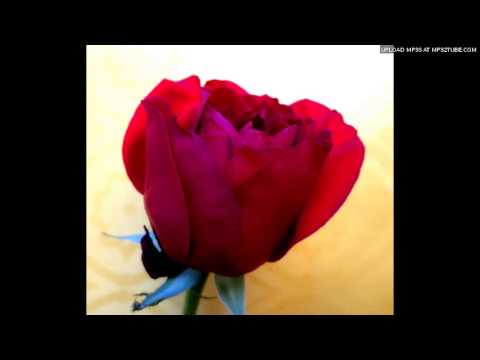 Kevin Nathaniel - Mbira - Garden