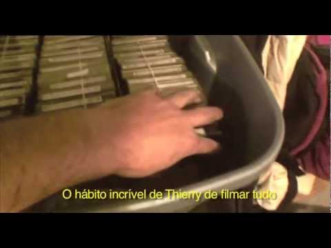 Editor's Nightmare - O Pesadelo do Editor