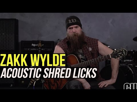 Zakk Wylde - Acoustic Chicken Pickin Lick Lesson!
