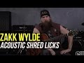 Zakk Wylde Acoustic Chicken Pickin Lick Lesson