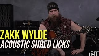 Zakk Wylde - Acoustic Chicken Pickin Lick Lesson!