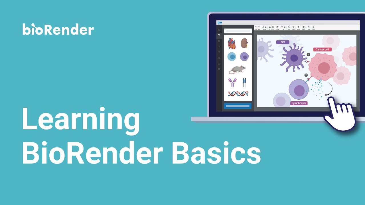 BioRender 101 Webinar