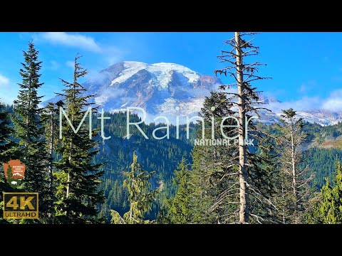 Mt Rainier National Park, Washington USA 4k. Skyline Trail