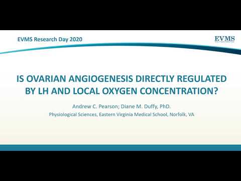 Thumbnail image of video presentation for Is Ovarian Angiogenesis Directly Regulated by LH and Local Oxygen Concentration?