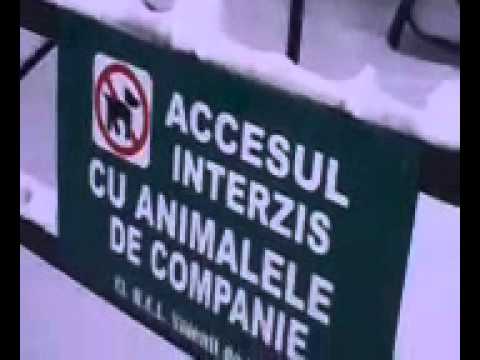 accesul interzis.. #!