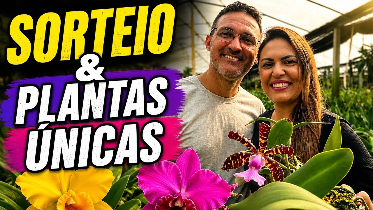 Vídeo do produto