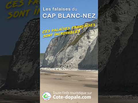 Falaises du Cap Blanc-Nez - Découverte d'un site naturel exceptionnel | Côte d'Opale