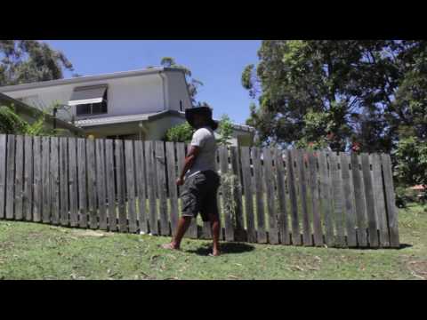 Bush Tucker Bunjie - Drive bye's Murri Style