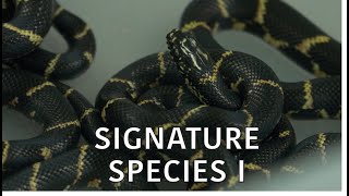 Coastal Kingdom | Season 4, Episode 1 – ‘Signature Species I’ | Full Episode