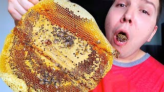Giant Raw Honeycomb With Bees • MUKBANG
