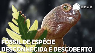 Miniatura do vídeo