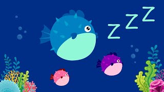 Sleep Water Sound for Baby, Bedtime Underwater White Noise and Fish Animation for Newborn and Family