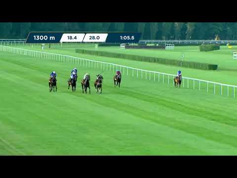 NAGRODA DEER LEAPA – (KAT. B) 27.08.2023 - (Dzień 28; Gonitwa 7)