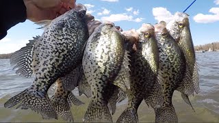 INSANE Crappie Bite! LIMITED OUT! Minnesota Spring Crappie Fishing 2020