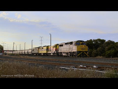 7KS7 Southern Shorthaul Railroad (SSR) Grain Train - PoathTV Australian Railways