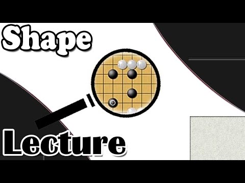 Bats Go Lecture Series - Let's Look at Shape!