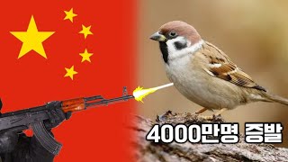 Download lagu 지구 역사상 최악의 생태 실험, 참새를 멸종시키자 일어난 일 mp3