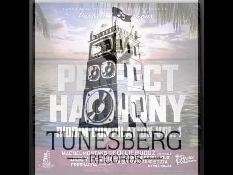 Jabaman - Can't Believe (Perfect Harmony Riddim) Partillo Prod - Tunesberg Records