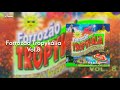 Forrozão Tropykália Vol 8 Enquanto Houver Amor CD Completo