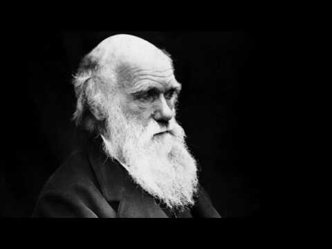 , title : 'CHARLES DARWIN (1809-1882) ou la lutte pour une théorie – Une vie, une œuvre [2016]'