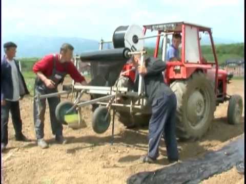 Služba za zaštitu bilja: Na tek izniklim biljkama strnih žitarica primjetno prisustvo glodara