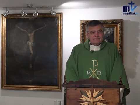 Padre Santiago. Homilía. Octubre 31 2019. San Lucas 13, 31-35. San Quintín.