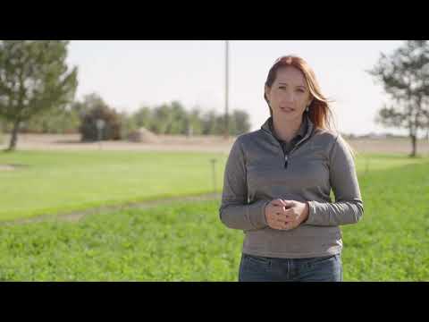 Animal Nutrition