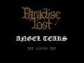 Paradise Lost - Angel Tears - Cover