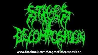 Stages Of Decomposition-The Butcher of Plainsfield