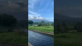 Download lagu story wa || kok iso Yo || Deny caknan mp3 Download lagu story wa || kok iso Yo || Deny caknan mp3