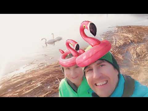 Dáma s hranostajem - Valentýn