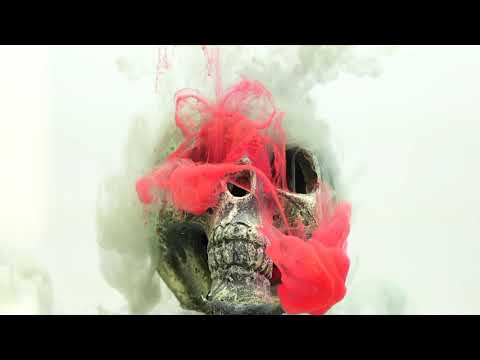 A color splash hits a skull 💀💀 Beautiful view ✴️🐞