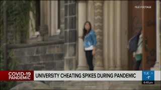 Video thumbnail for, "Cheating on Virtual Exams." Brunette woman stands outside a building. 