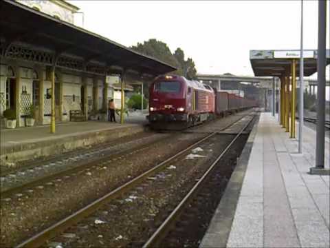 Comboio de Madeira nº 48838 - Estação da Amieira