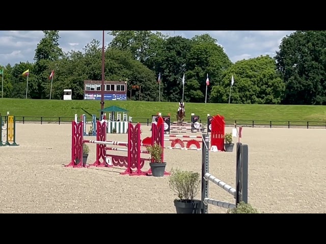 Cheval de loisirs adapt&eacute; &agrave; toute la famille