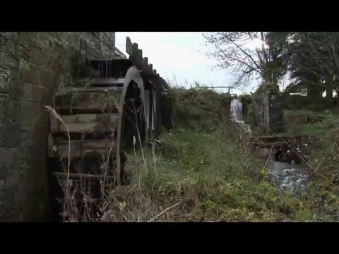 The Dog - RM Hubbert with Kathryn Joseph