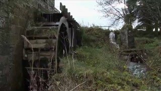 The Dog - RM Hubbert with Kathryn Joseph