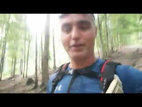 Căminul Alpin - Vf Bucsoiu. Valea Cerbului, spre final