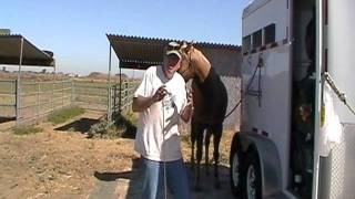 Giving Horse Pressure while a Horse is Tied - Part 2 - Rick Gore Horsemanship