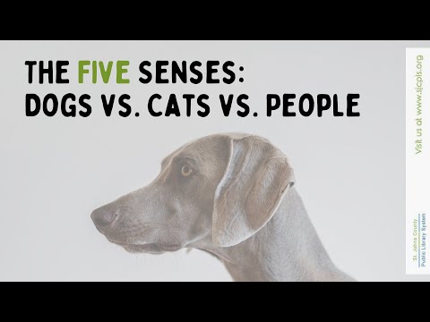 SJCPLS Online Event: The Five Senses - Dogs vs. Cats vs. People