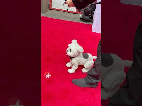 Play video