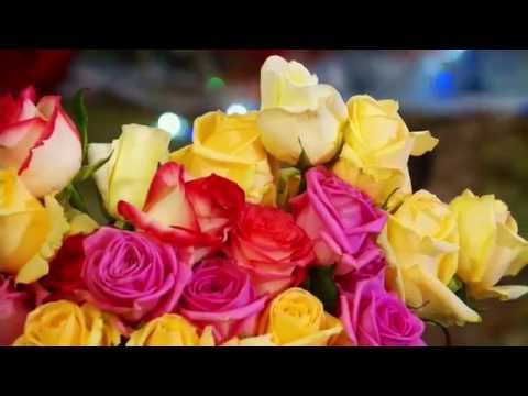 Bruder Ahmad Yaqoobi - Imam Mahdi (af) (Geburt/Erwartungen/Empfehlungen)